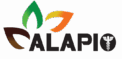 Alapio
